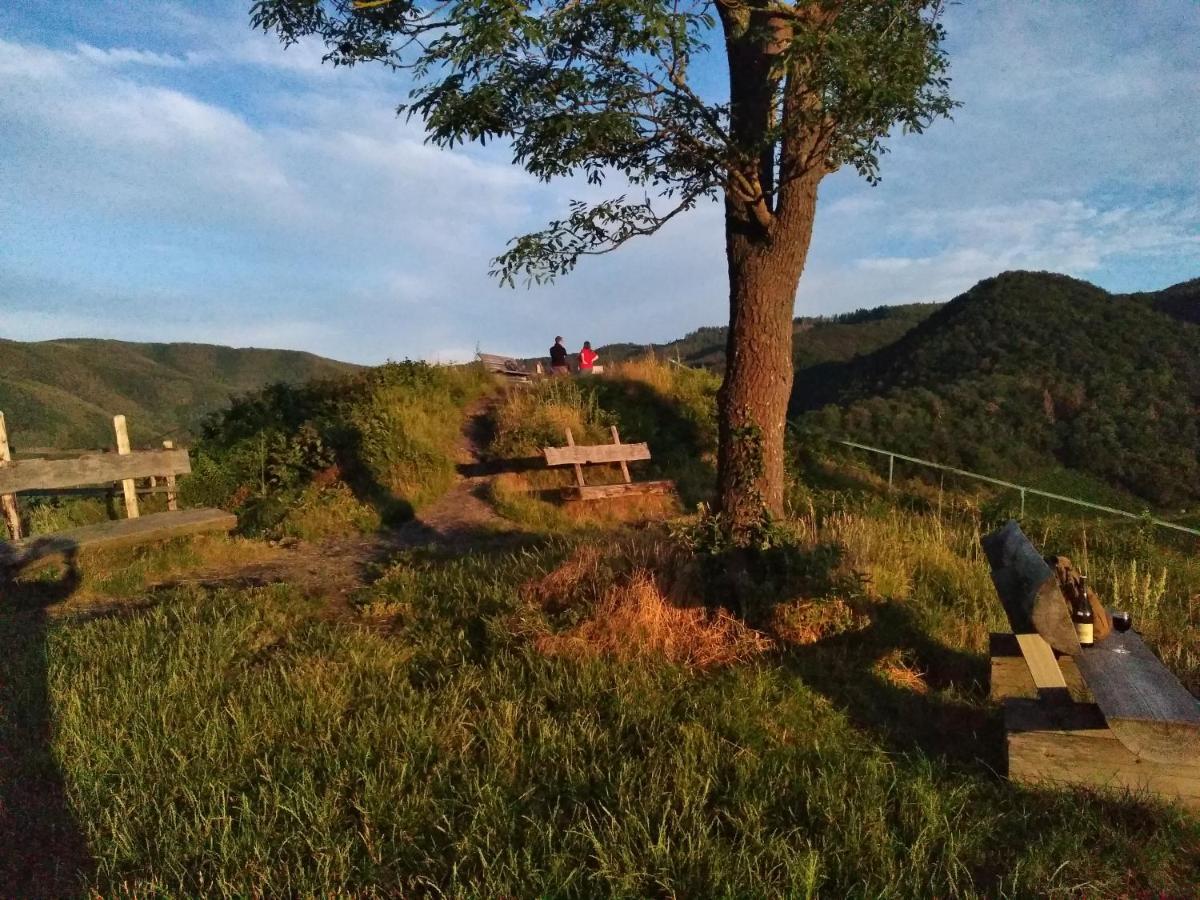 Appartamento Am Bungert Mayschoß Esterno foto